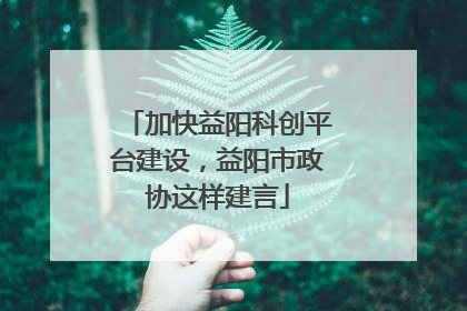 加快益阳科创平台建设，益阳市政协这样建言
