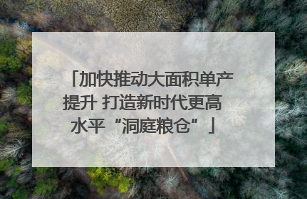 加快推动大面积单产提升 打造新时代更高水平“洞庭粮仓”