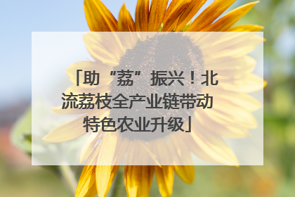 助“荔”振兴！北流荔枝全产业链带动特色农业升级