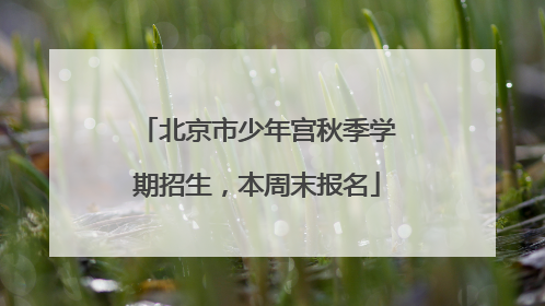 北京市少年宫秋季学期招生，本周末报名
