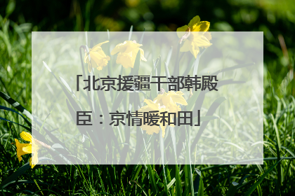 北京援疆干部韩殿臣：京情暖和田