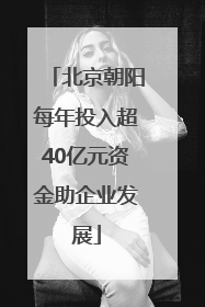 北京朝阳每年投入超40亿元资金助企业发展