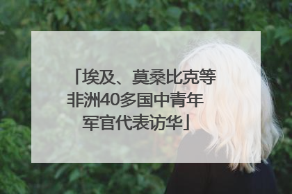 埃及、莫桑比克等非洲40多国中青年军官代表访华