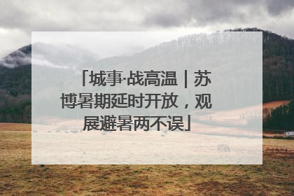 城事·战高温｜苏博暑期延时开放，观展避暑两不误