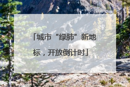 城市“绿肺”新地标，开放倒计时