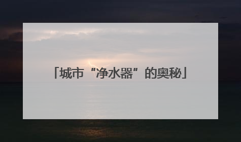 城市“净水器”的奥秘