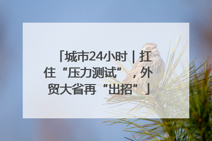 城市24小时｜扛住“压力测试”，外贸大省再“出招”
