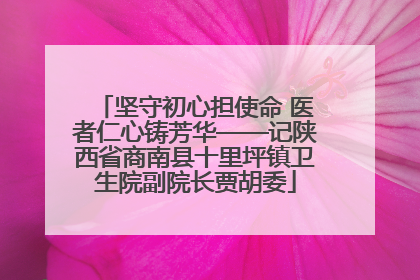 坚守初心担使命 医者仁心铸芳华——记陕西省商南县十里坪镇卫生院副院长贾胡委