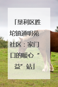 垦利区胜坨镇通明苑社区：家门口的暖心“益”站