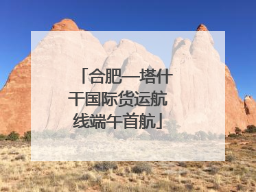 合肥—塔什干国际货运航线端午首航