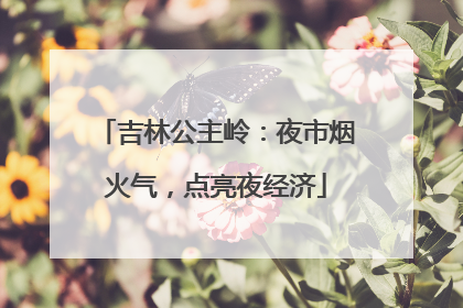 吉林公主岭：夜市烟火气，点亮夜经济