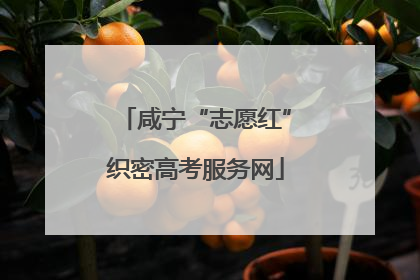 咸宁“志愿红”织密高考服务网