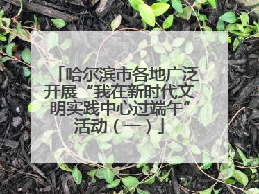 哈尔滨市各地广泛开展“我在新时代文明实践中心过端午”活动（一）
