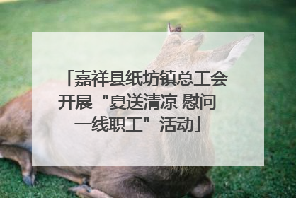 嘉祥县纸坊镇总工会开展“夏送清凉 慰问一线职工”活动