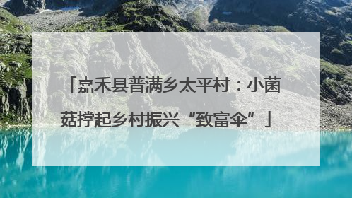 嘉禾县普满乡太平村：小菌菇撑起乡村振兴“致富伞”