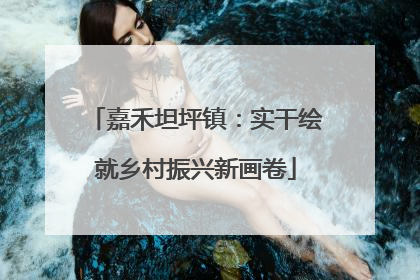 嘉禾坦坪镇：实干绘就乡村振兴新画卷