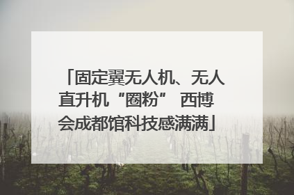 固定翼无人机、无人直升机“圈粉” 西博会成都馆科技感满满