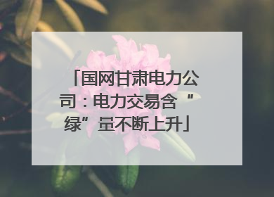国网甘肃电力公司：电力交易含“绿”量不断上升