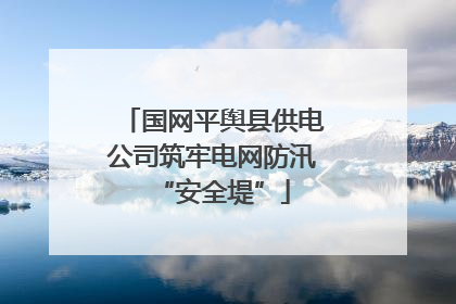 国网平舆县供电公司筑牢电网防汛“安全堤”