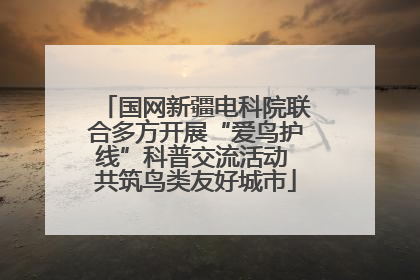 国网新疆电科院联合多方开展“爱鸟护线”科普交流活动 共筑鸟类友好城市