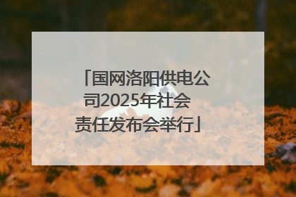 国网洛阳供电公司2025年社会责任发布会举行