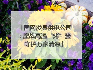国网浚县供电公司：鏖战高温“烤”验 守护万家清凉