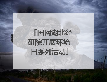 国网湖北经研院开展环境日系列活动