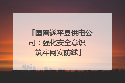 国网遂平县供电公司：强化安全意识 筑牢网安防线