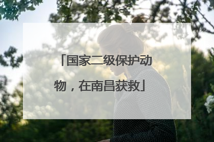 国家二级保护动物，在南昌获救
