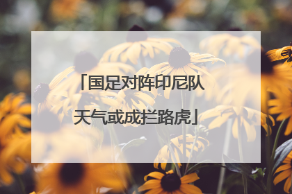 国足对阵印尼队 天气或成拦路虎
