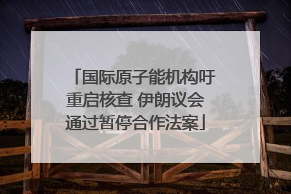 国际原子能机构吁重启核查 伊朗议会通过暂停合作法案