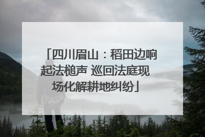四川眉山：稻田边响起法槌声 巡回法庭现场化解耕地纠纷