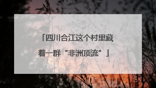 四川合江这个村里藏着一群“非洲顶流”