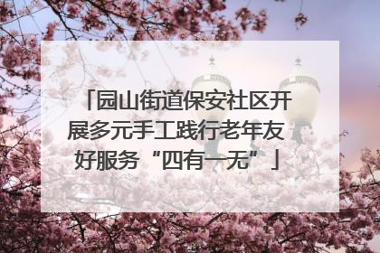 园山街道保安社区开展多元手工践行老年友好服务“四有一无”