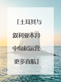土耳其与叙利亚本月中旬起运营更多直航