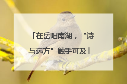 在岳阳南湖，“诗与远方”触手可及
