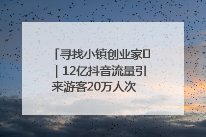 寻找小镇创业家㊱｜12亿抖音流量引来游客20万人次 “襄阳许三多”爆改家乡打造网红村