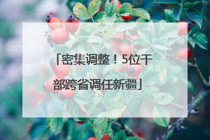 密集调整！5位干部跨省调任新疆