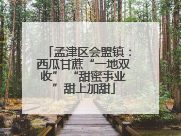 孟津区会盟镇：西瓜甘蔗“一地双收” “甜蜜事业”甜上加甜