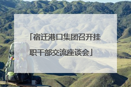 宿迁港口集团召开挂职干部交流座谈会