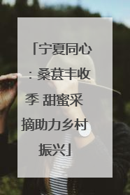 宁夏同心：桑葚丰收季 甜蜜采摘助力乡村振兴