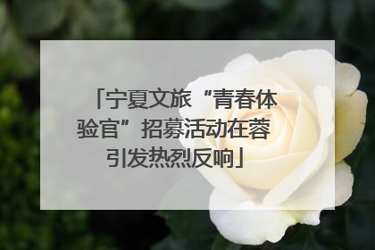宁夏文旅“青春体验官”招募活动在蓉引发热烈反响