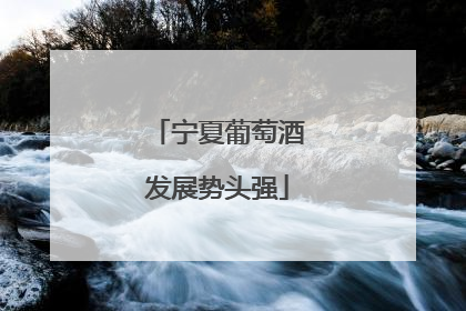 宁夏葡萄酒发展势头强