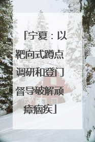 宁夏：以靶向式蹲点调研和登门督导破解顽瘴痼疾