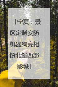 宁夏：景区定制安防机器狗亮相镇北堡西部影城