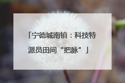 宁德城南镇：科技特派员田间“把脉”