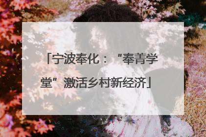 宁波奉化：“奉菁学堂”激活乡村新经济