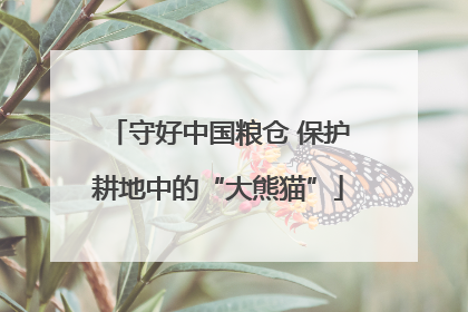 守好中国粮仓 保护耕地中的“大熊猫”