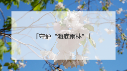 守护“海底雨林”
