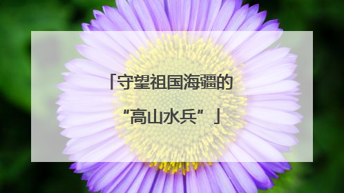 守望祖国海疆的“高山水兵”